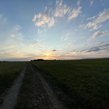 1,5-Zimmer Mit Duschbad, Gartenblick, Kuehlschrank Heroldsberg Bagian luar foto